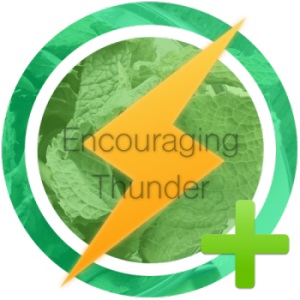 encouraging-thunder
